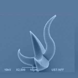 The HKUST Sundial by 3-D Nanoprinting